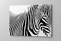 Čiernobiely obraz Zebra 1773